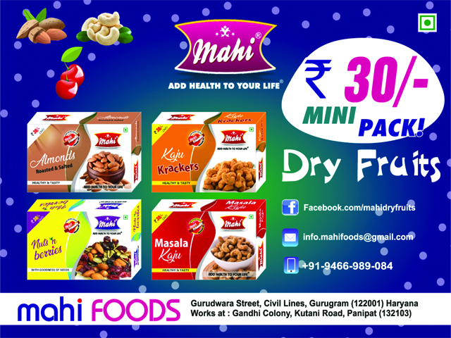 mahi foods portfolio 12 konnecs infotech